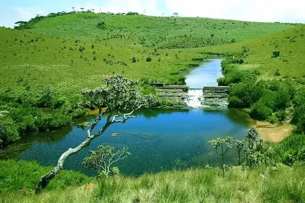 Nuwara Eliya Experiences