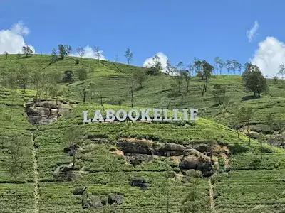 Labukale Tea Factory