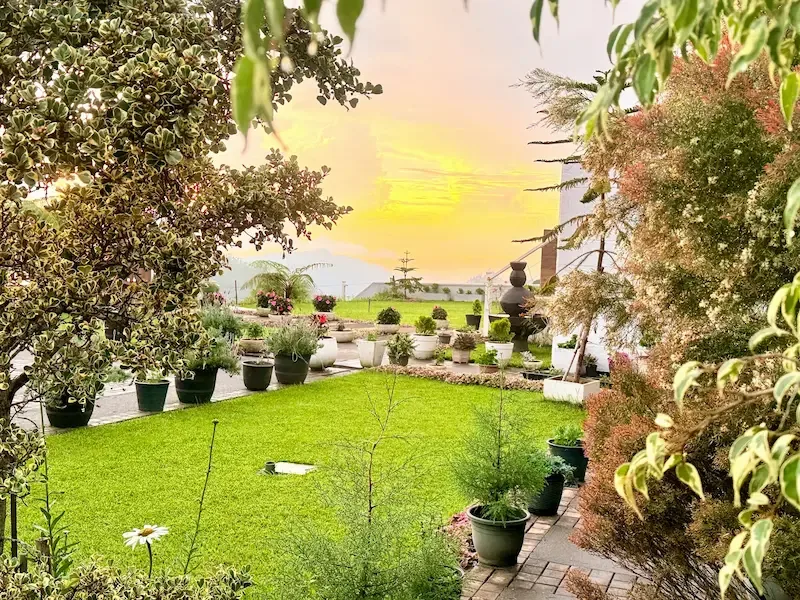 Peaceful garden and hill country setting at Hilldale Retreat